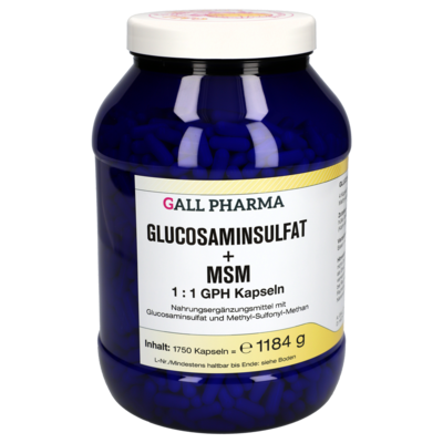 GLUCOSAMINSULFAT+MSM 1:1 GPH Kapseln