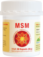 MSM 1000 mg Kapseln