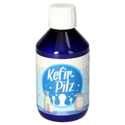 KEFIR Pilz zur Bereitung aus Milch