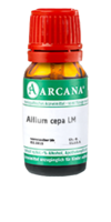 ALLIUM CEPA LM 19 Dilution