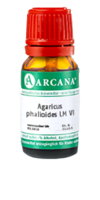 AGARICUS PHALLOIDES LM 6 Dilution