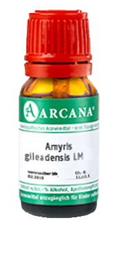 AMYRIS gileadensis LM 14 Dilution